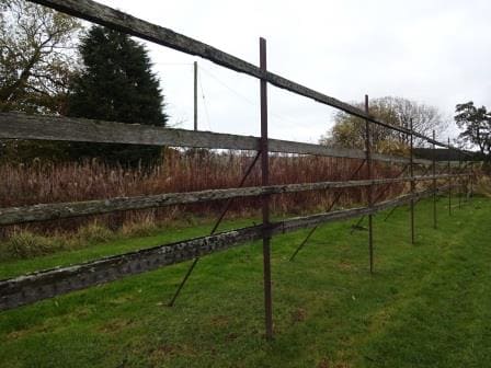 Tenter frames